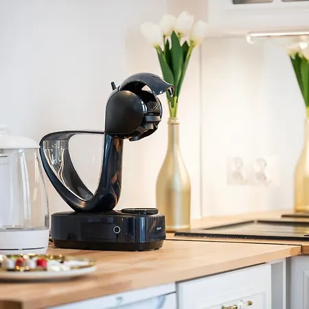 - Fireplace, Location By Rentujemy Appartamento Łódź